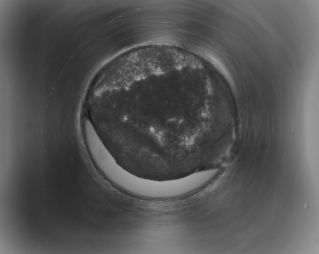 X0000088670944200706281919