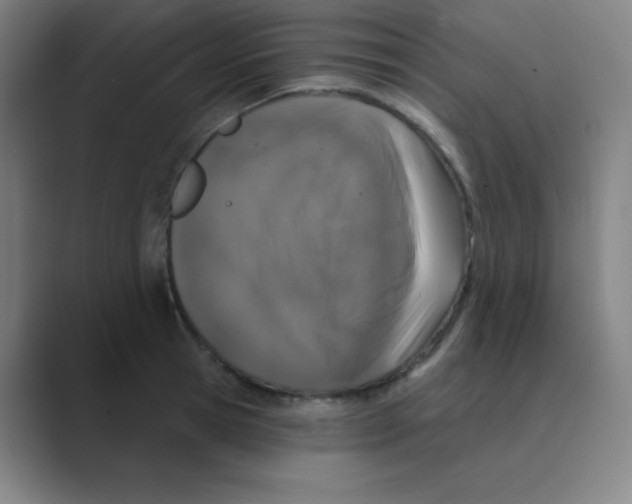 X0000088670945200706281919