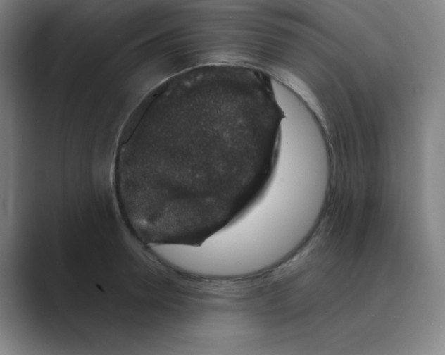 X0000088670946200706281919