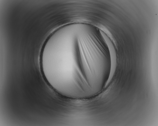 X0000088670947200706281919