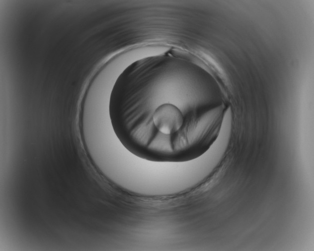 X0000088670948200706281919