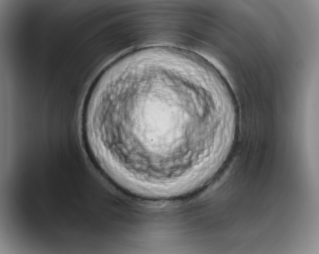 X0000088670949200706281919