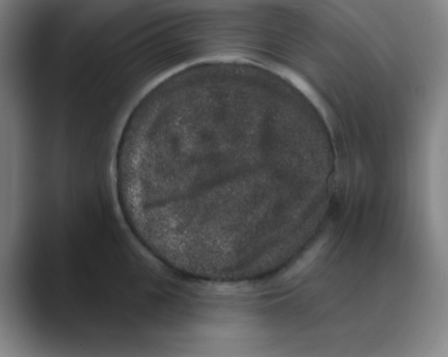 X0000088670951200706281919