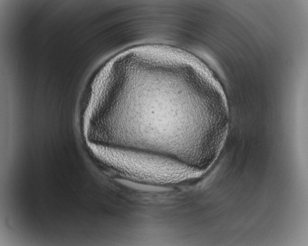 X0000088670952200706281919