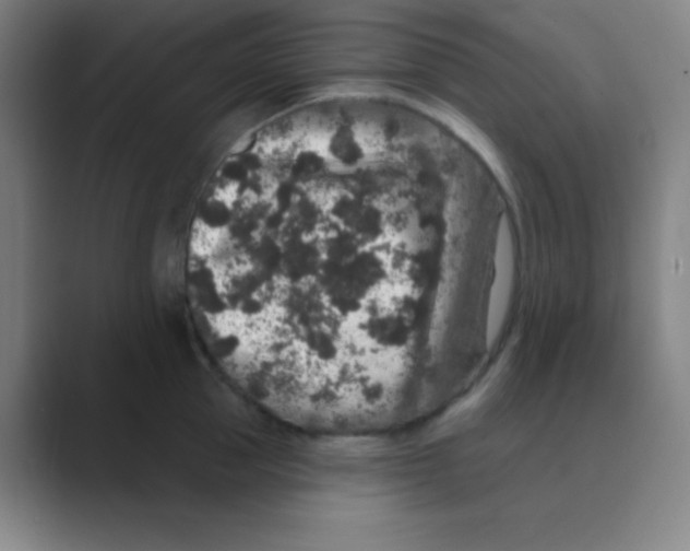 X0000088670953200706281919