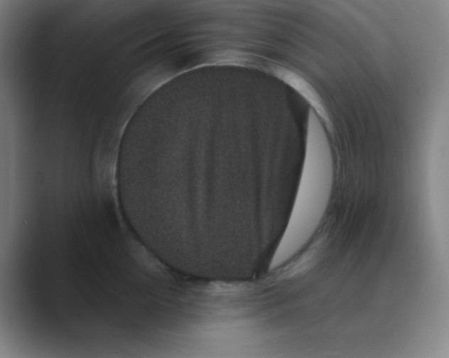 X0000088670954200706281919