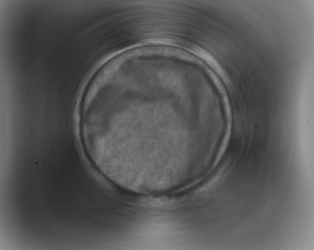 X0000088670955200706281919