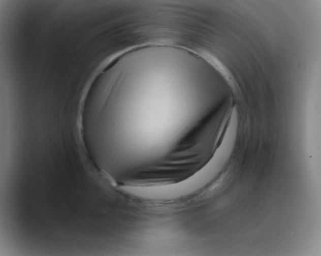 X0000088670956200706281919