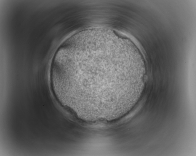 X0000088670957200706281919