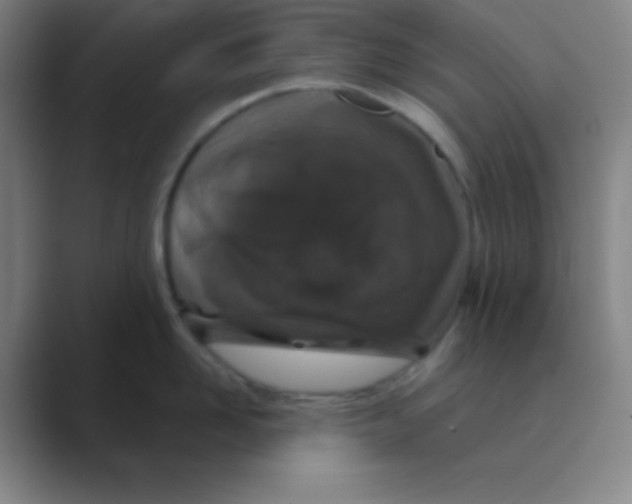 X0000088670958200706281919