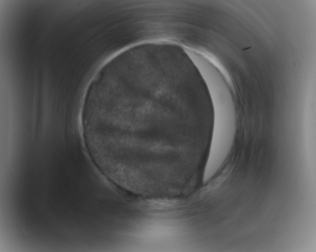 X0000088670959200706281919