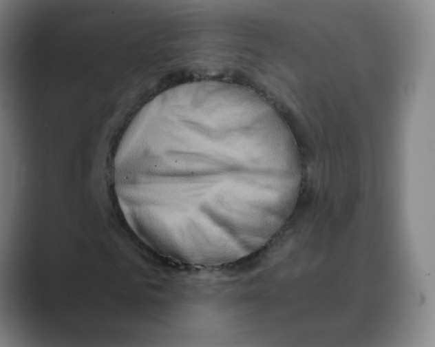 X0000088670961200706281918