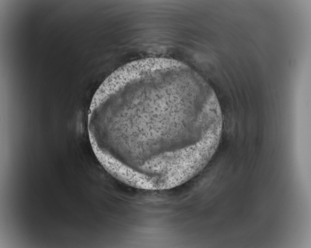X0000088670962200706281918