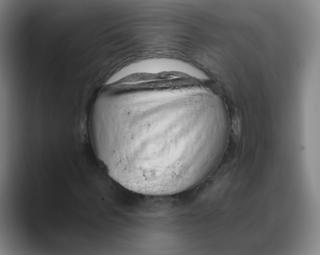 X0000088670963200706281918