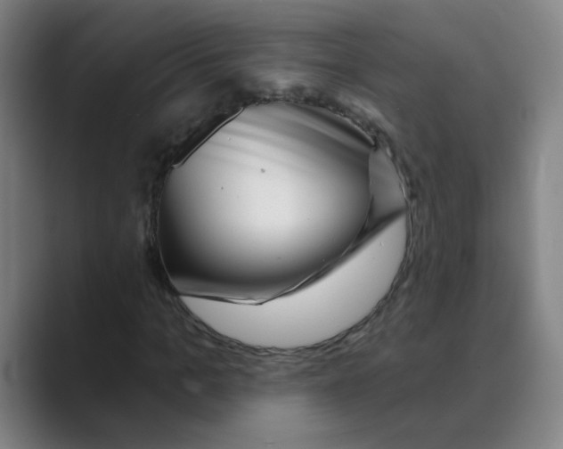 X0000088670965200706281918