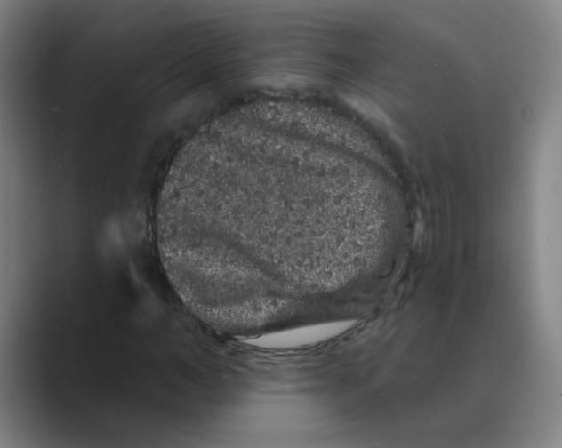 X0000088670966200706281918