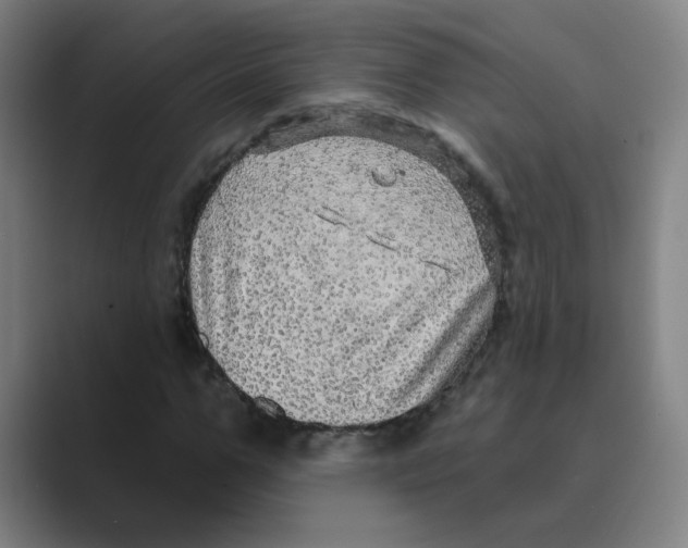 X0000088670967200706281918