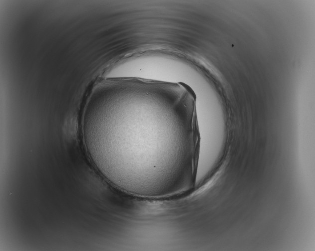 X0000088670969200706281918