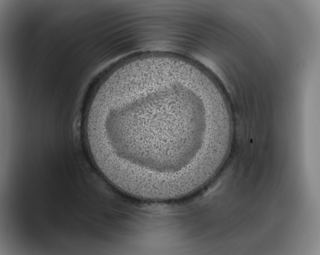 X0000088670971200706281918