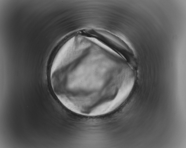 X0000088670972200706281918
