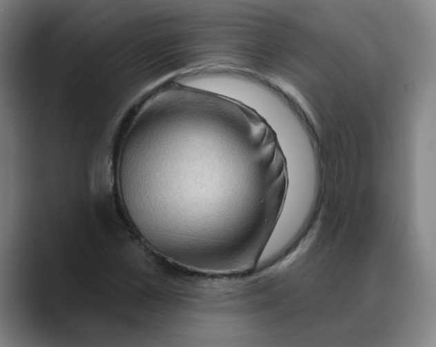 X0000088670973200706281918