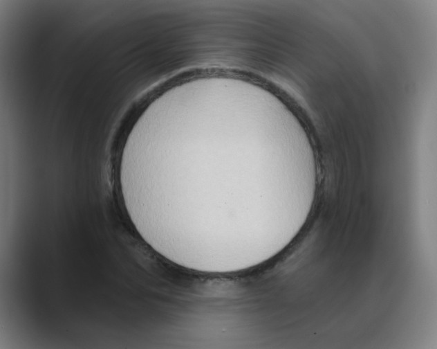 X0000088670974200706281918