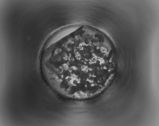 X0000088670975200706281918