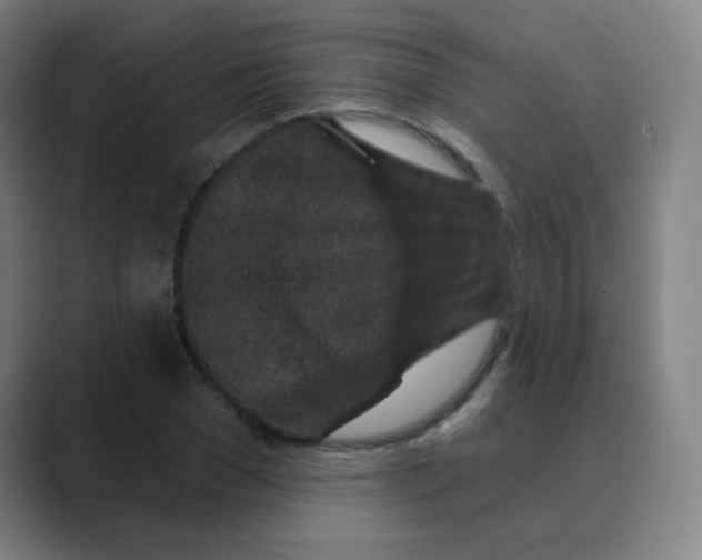 X0000088670977200706281918