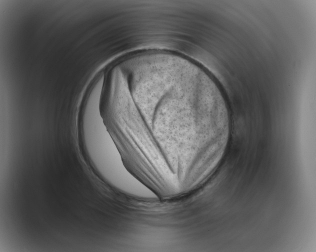 X0000088670980200706281918