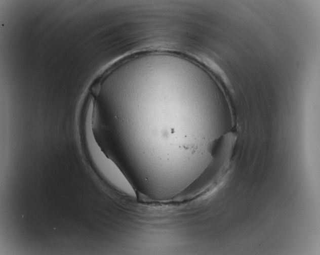 X0000088670981200706281918