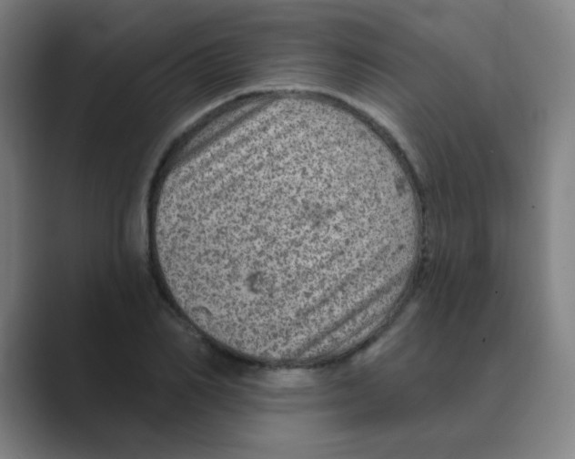 X0000088670982200706281918