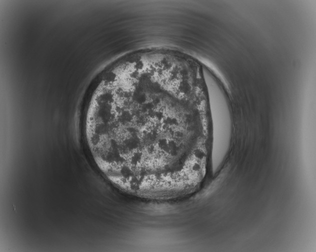 X0000088670983200706281918