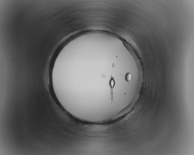 X0000088670984200706281918