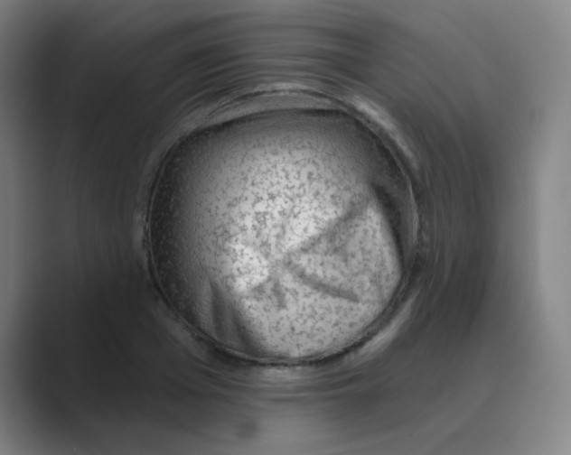 X0000088670985200706281918
