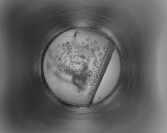 X0000088670986200706281918