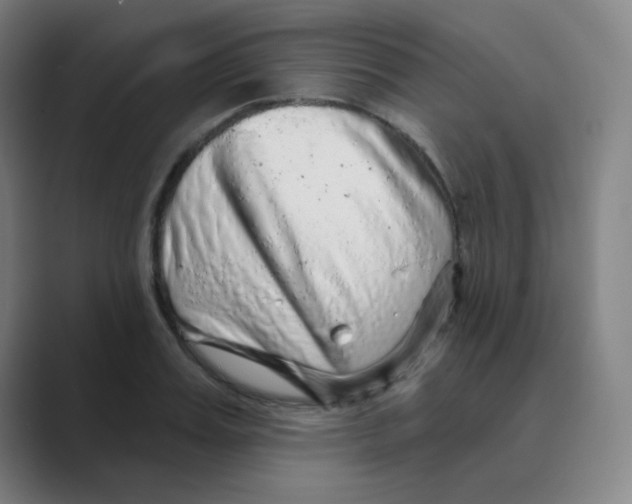 X0000088670987200706281918