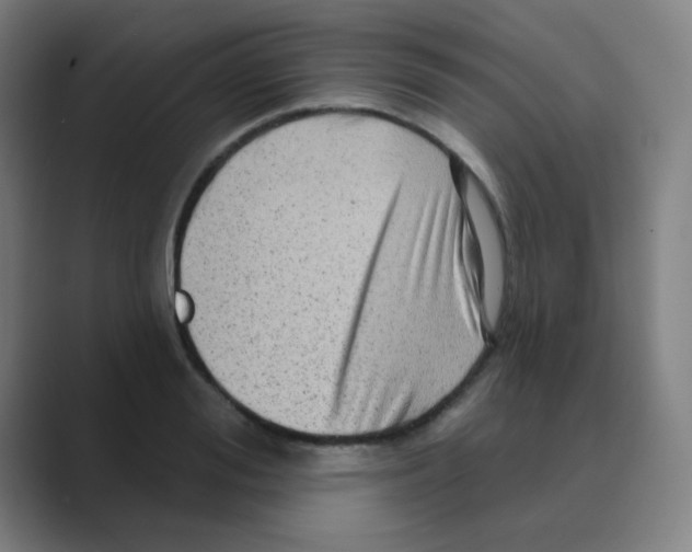 X0000088670988200706281918