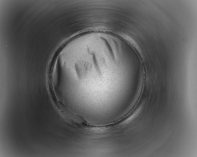 X0000088670989200706281918