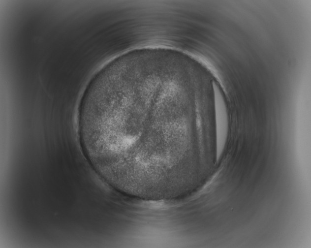 X0000088670990200706281918
