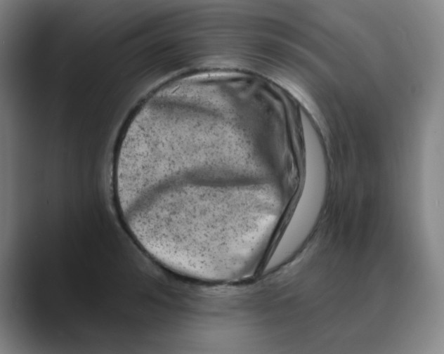X0000088670992200706281918