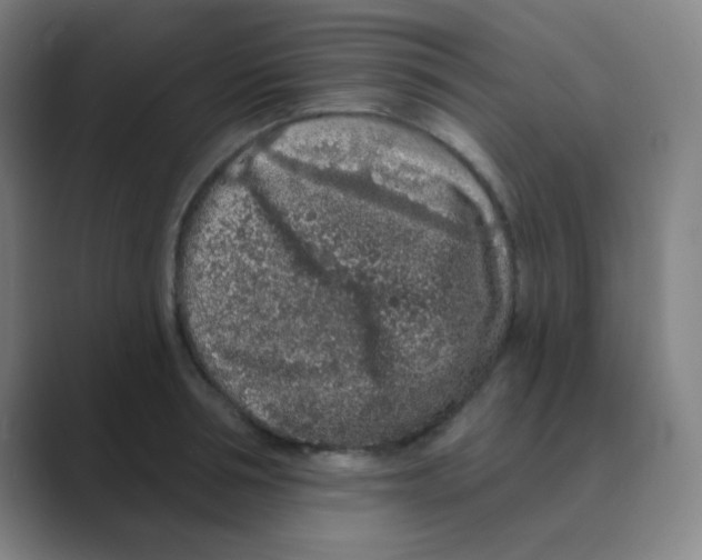 X0000088670994200706281918