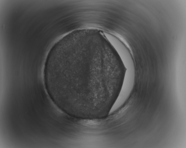 X0000088670995200706281918