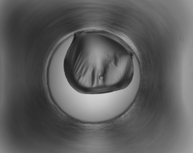 X0000088670996200706281918