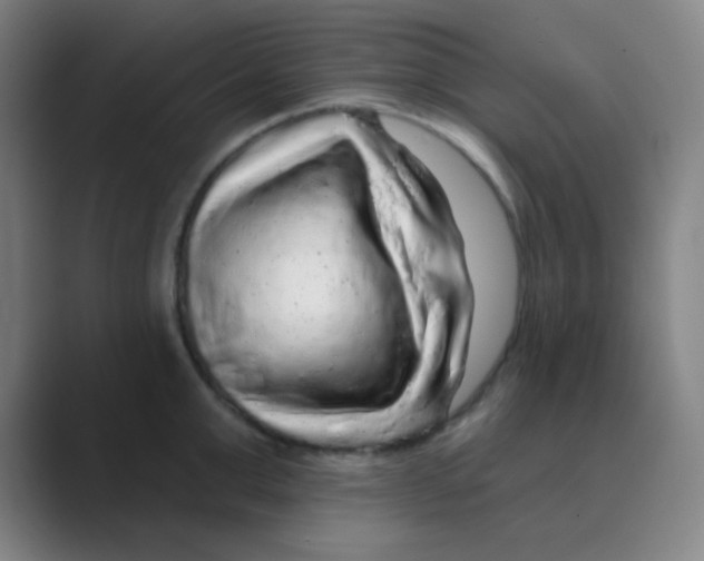 X0000088670999200706281918