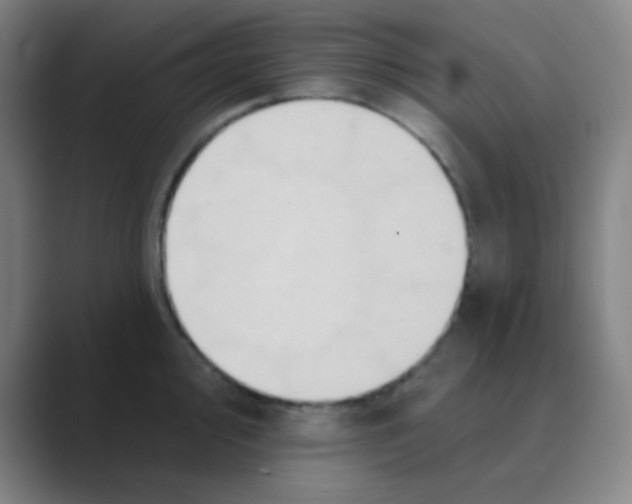 X0000088671000200706281918