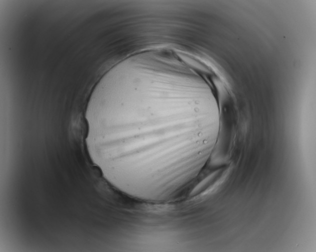 X0000088671001200706281918