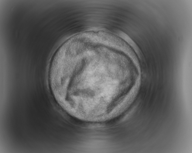 X0000088671002200706281918