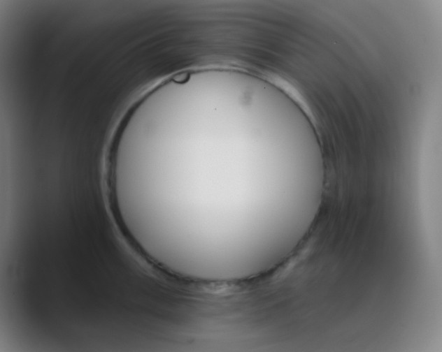 X0000088671003200706281918
