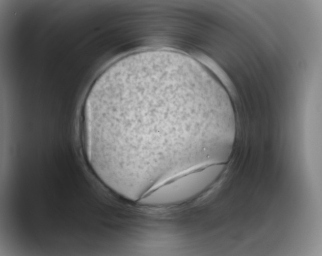 X0000088671004200706281918