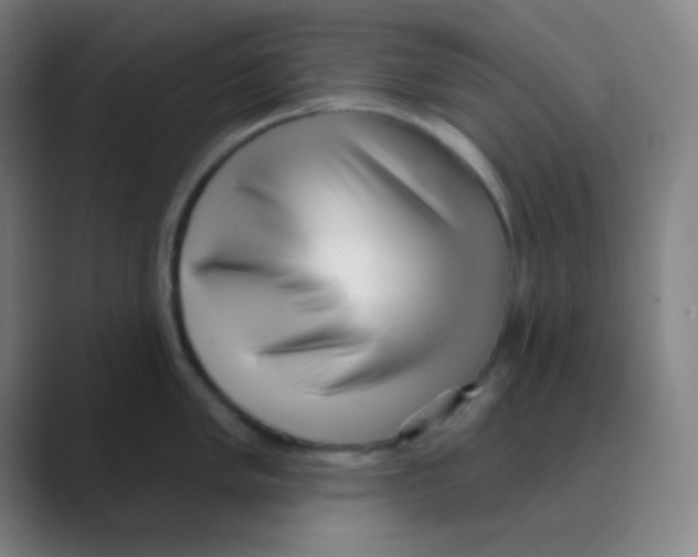 X0000088671005200706281918